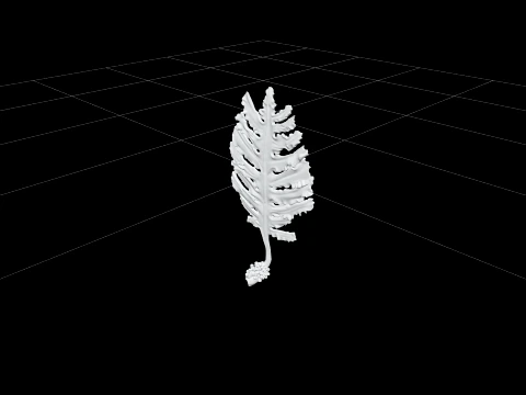 Wakame Seaweed Detailed Model for Scientific Visualization 3D Model