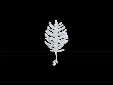 Wakame Seaweed Detailed Model for Scientific Visualization 3D Model