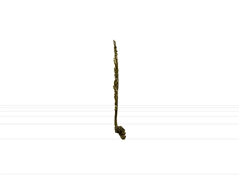 Wakame Seaweed Detailed Model for Scientific Visualization 3D Model