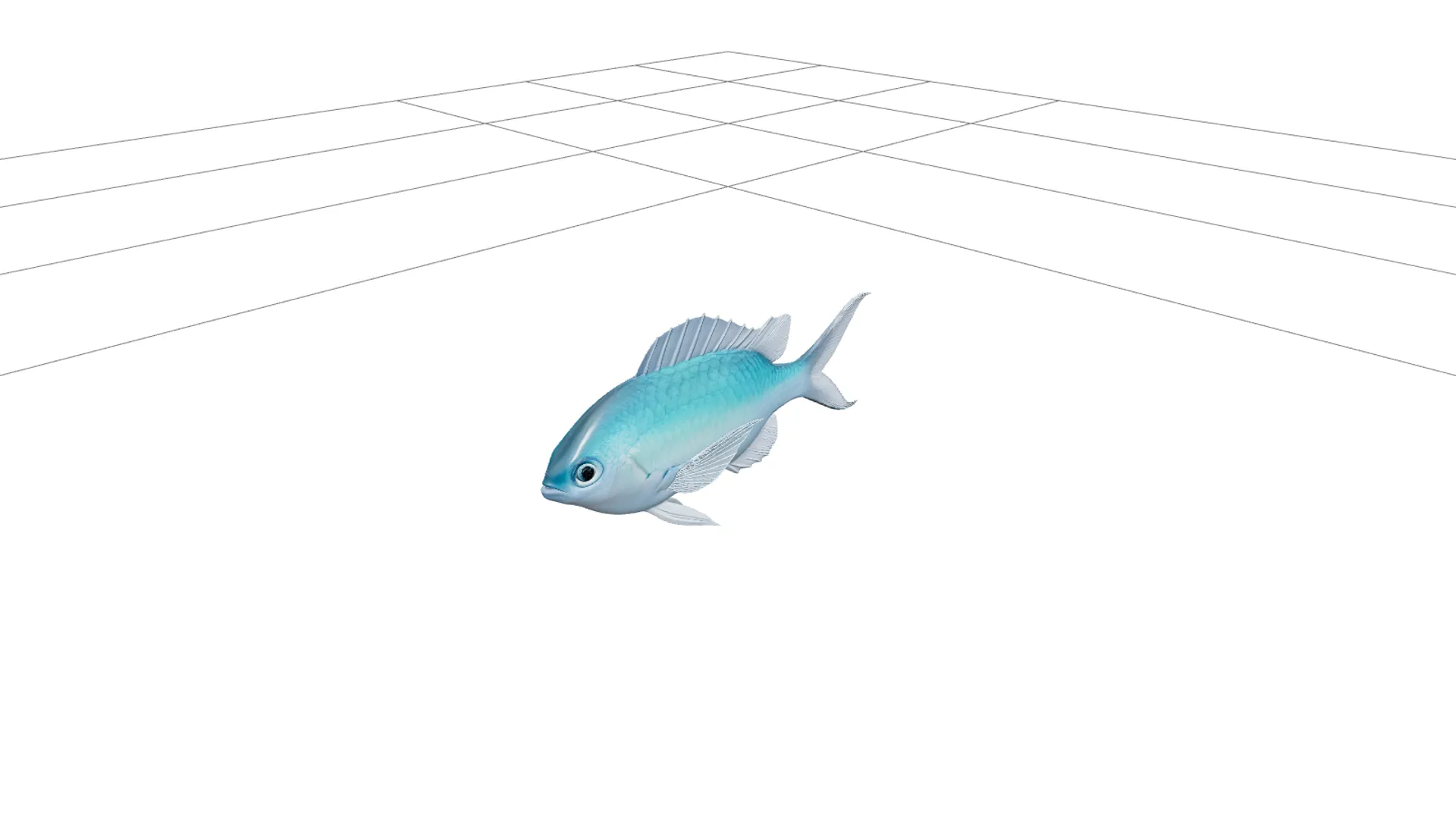 Chromis Damselfish Model Detailed 3D Asset Realistic Render 3D Model .c4d .max .obj .3ds .fbx .stl .blend