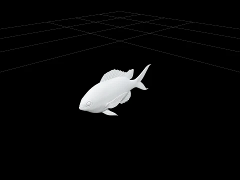 Chromis Damselfish Model Detailed 3D Asset Realistic Render 3D Model