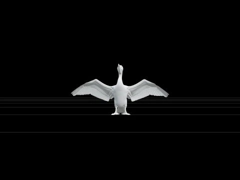 Cormorant Black Iridescent Wing Spread Feathered Modelo 3D