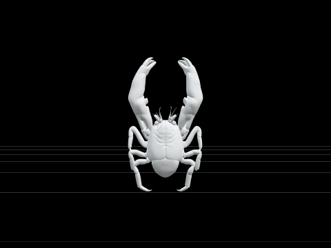 Yeti Crab Kiwa Hirsuta Model With Dense Golden Setae Model 3D