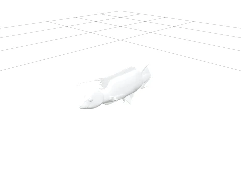 Vibrant Cuckoo Wrasse Model Featuring Long Filamentous Fins 3D Model