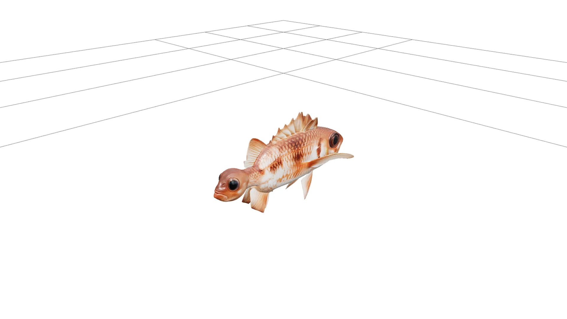 Squirrelfish Full Body Photographic Orthographic 3D Model .c4d .max .obj .3ds .fbx .stl .blend 
