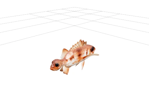 Squirrelfish Full Body Photographic Orthographic Model 3D