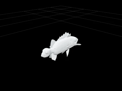 Squirrelfish Full Body Photographic Orthographic 3D Model