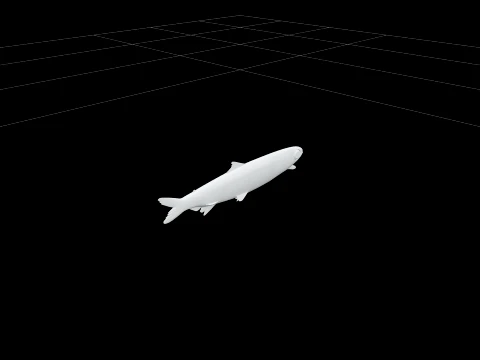 Argentine Fish Model Reference Sheet Full Body Scales 3D Model