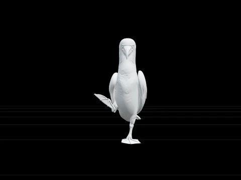 Blue Footed Booby Courtship Model High Detail Asset 3D Model