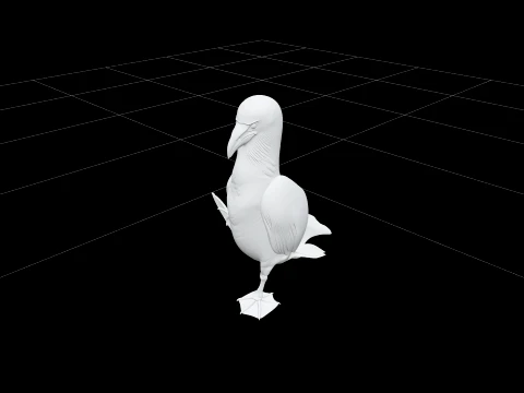 Blue Footed Booby Courtship Model High Detail Asset 3D Model