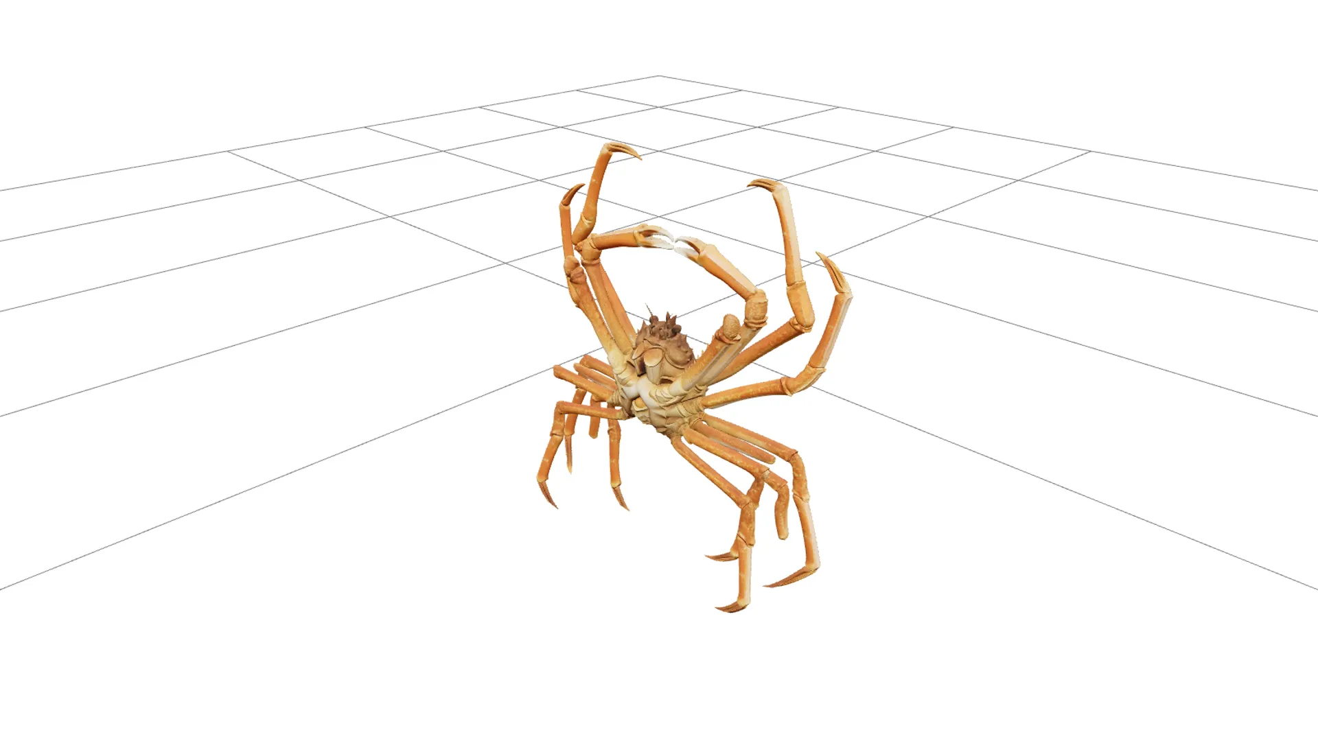 Japanese Spider Crab High Detail Model for Games and VR 3D Model .c4d .max .obj .3ds .fbx .stl .blend
