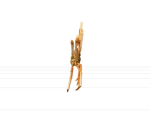 Japanese Spider Crab High Detail Model for Games and VR 3D Model