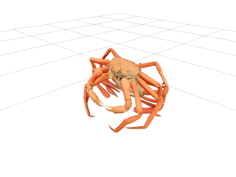Snow Crab Opilio Ultra Realistic ThreeD Model High Detail 3D Model