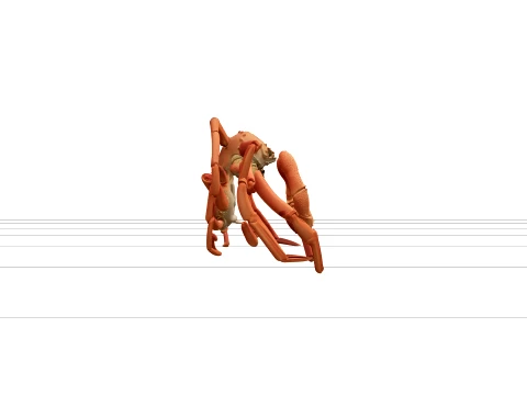 Snow Crab Opilio Ultra Realistic ThreeD Model High Detail 3D Model