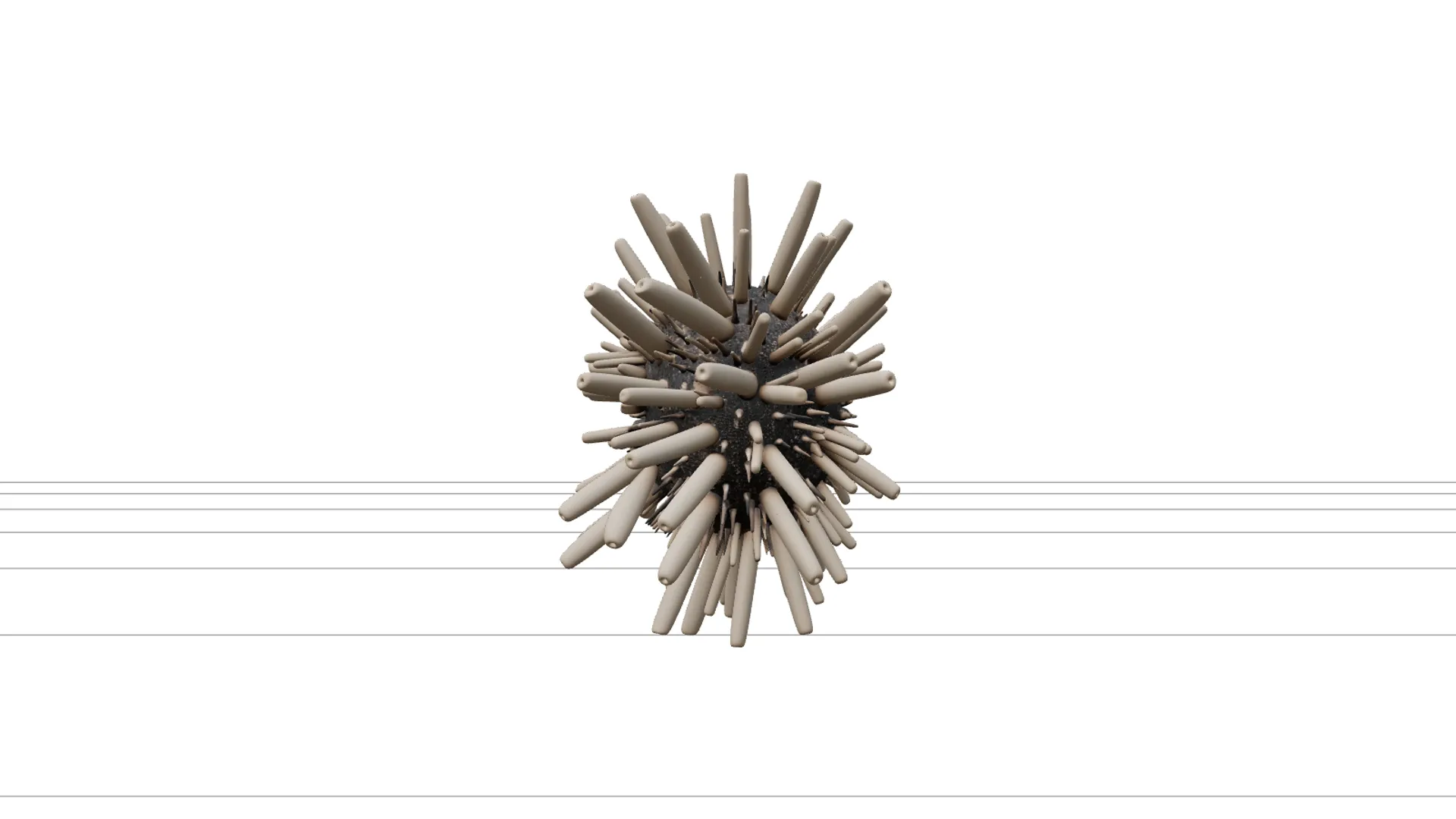 Pencil Urchin Detailed Model High Quality Collection 3D Model .c4d .max .obj .3ds .fbx .stl .blend 