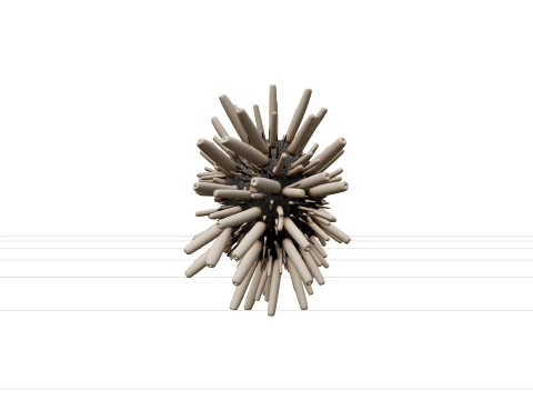 Pencil Urchin Detailed Model High Quality Collection 3D Модель