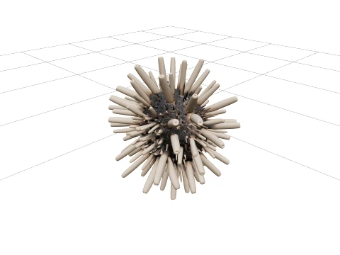 Pencil Urchin Detailed Model High Quality Collection 3D Model