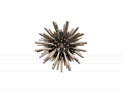 Pencil Urchin Detailed Model High Quality Collection 3D Model