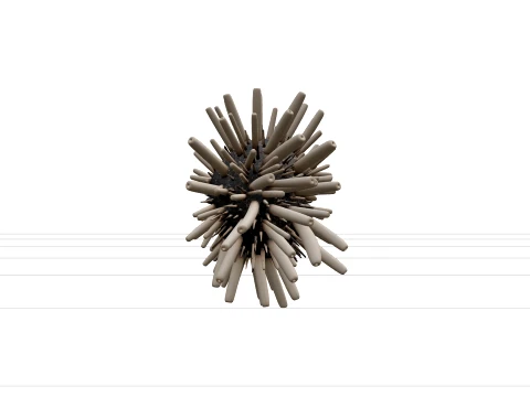 Pencil Urchin Detailed Model High Quality Collection 3D Model