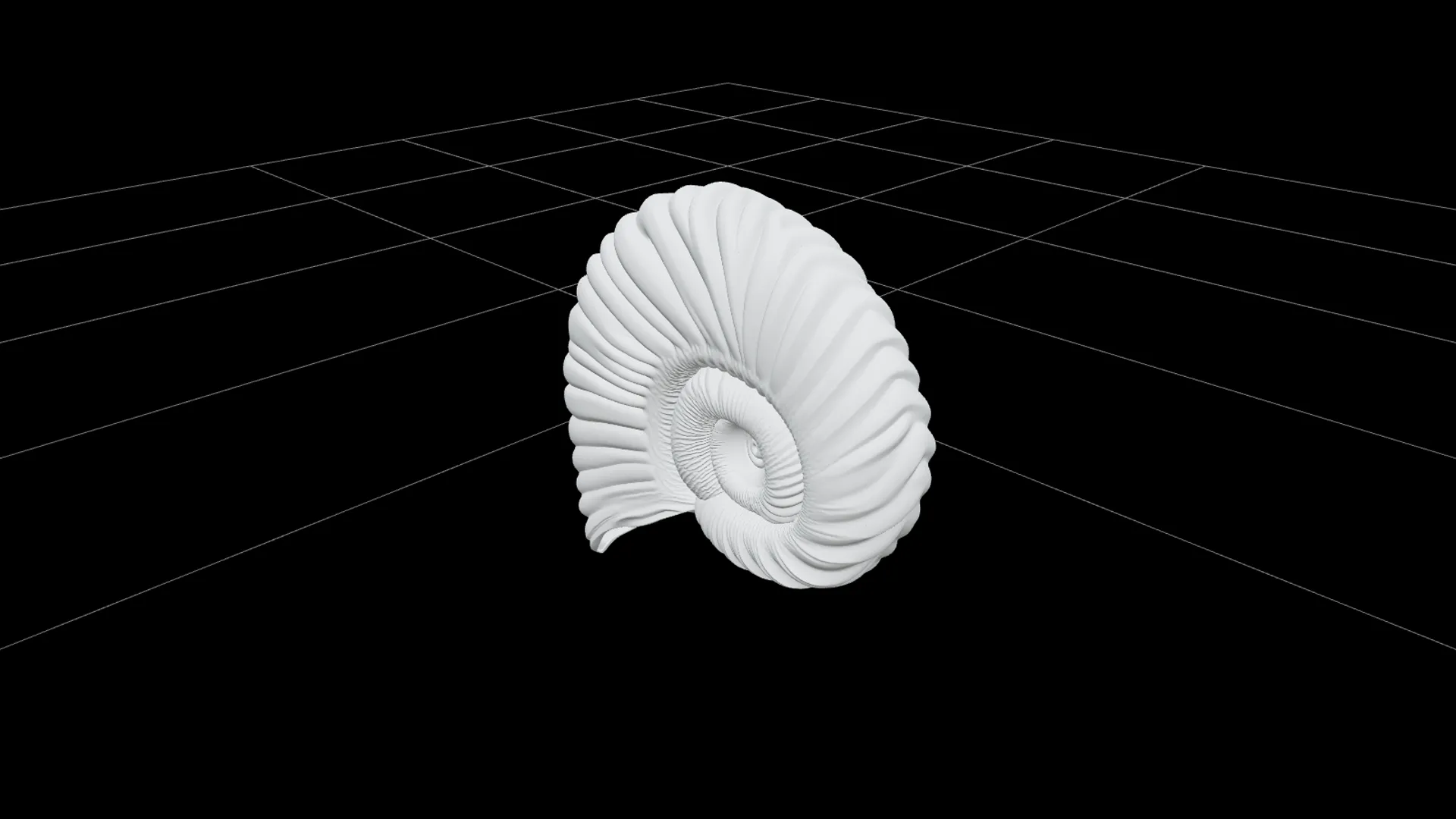 Argonaut Paper Nautilus Shell Model Ultra Realistic 3D Model .c4d .max .obj .3ds .fbx .stl .blend 