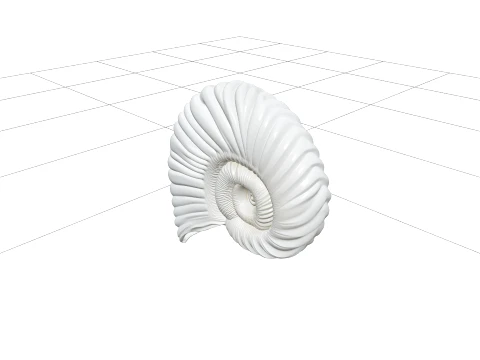 Argonaut Paper Nautilus Shell Model Ultra Realistic 3D Model