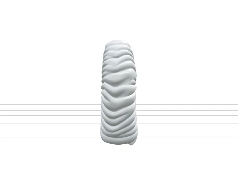 Argonaut Paper Nautilus Shell Model Ultra Realistic 3D Model