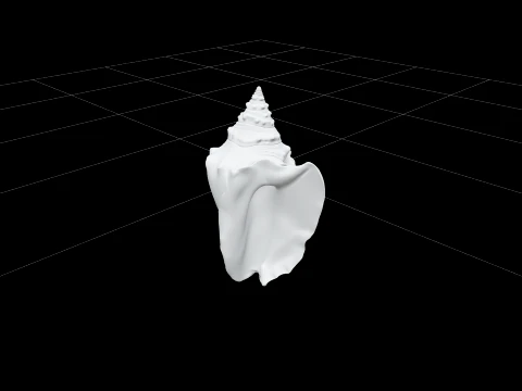 Conch Strombus Shell Model High Detail Realistic Texture 3D Model