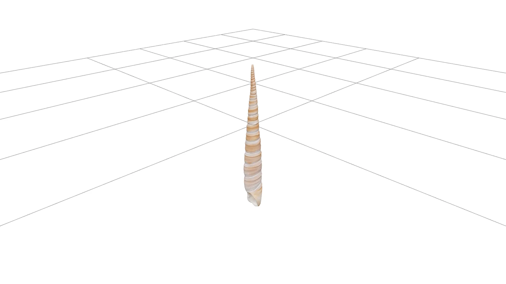 High Spired Auger Terebra Shell Model for ThreeD Printing 3D Model .c4d .max .obj .3ds .fbx .stl .blend 