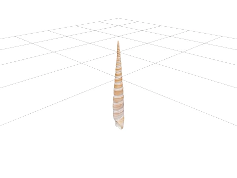 High Spired Auger Terebra Shell Model for ThreeD Printing 3Dモデル