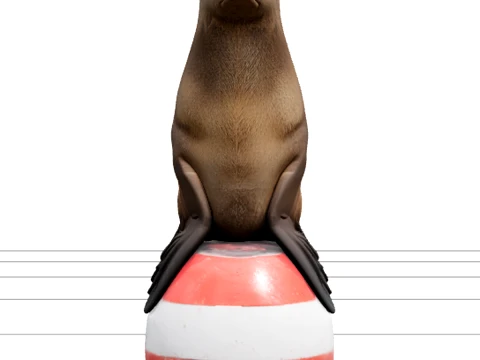 Realistic Sea Lion Balancing on Red White Buoy Model 3D Model