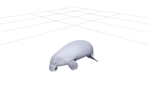 Realistic Dugong Grazing Seagrass High Detailed Model 3D Model
