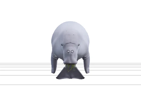 Realistic Dugong Grazing Seagrass High Detailed Model 3D Model