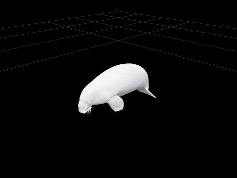 Realistic Dugong Grazing Seagrass High Detailed Model 3D Model