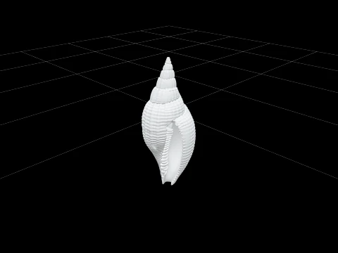 Mitre Shell Orthographic Model Turnaround Detailed Asset 3D Model