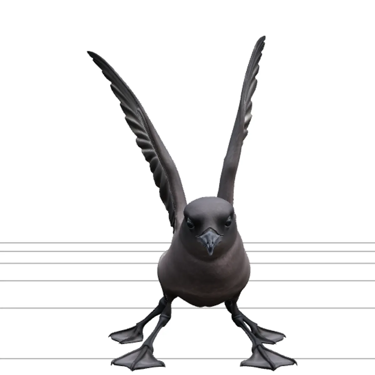 Storm Petrel Pattering Ocean Surface Detailed 3D Model .c4d .max .obj .3ds .fbx .stl .blend 