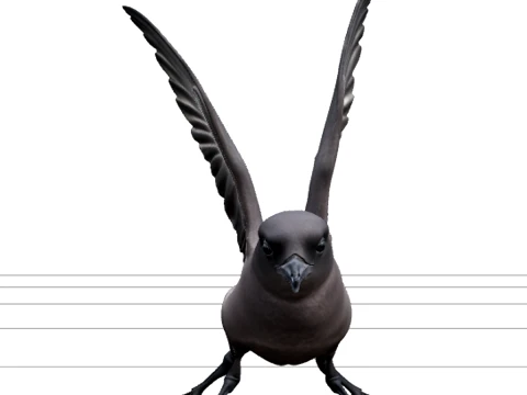 Storm Petrel Pattering Ocean Surface Detailed 3D Model