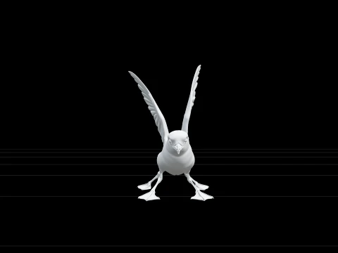 Storm Petrel Pattering Ocean Surface Detailed 3D Model