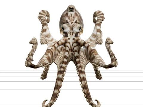 Mimic Octopus Flatfish Imitation Model High Detail 3D Model