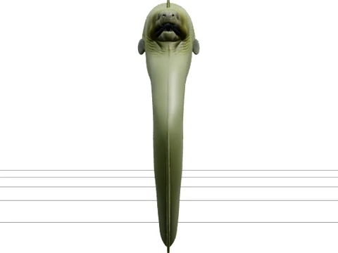 Moray Eel Model Thick Green Skin Macro Realistic 3D Asset 3D Model