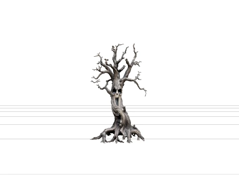 Verdrehter Geistergesichtsbaum mit freiliegenden Wurzeln 3D Modell