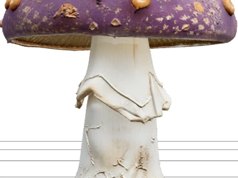 Violet Poisonous Mushroom with Orange Spots Asset 3D Model