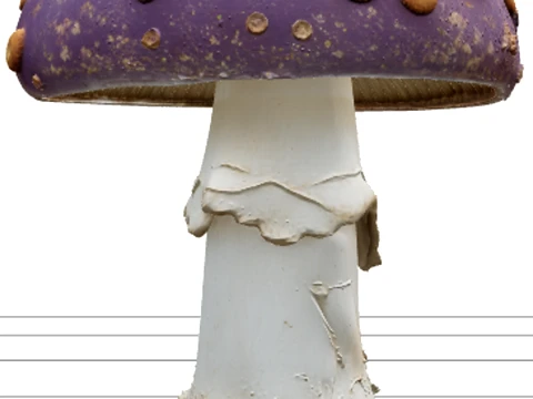 Violet Poisonous Mushroom with Orange Spots Asset 3D Model