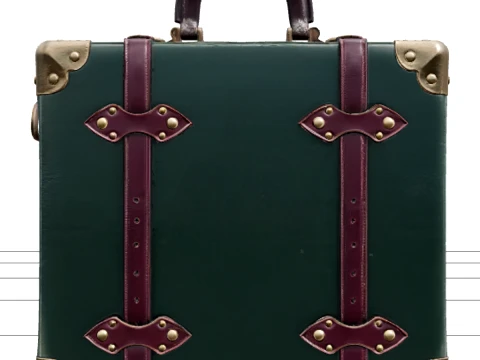 Gothic Carriage Suitcase with Green Leather and Brass Modelo 3D