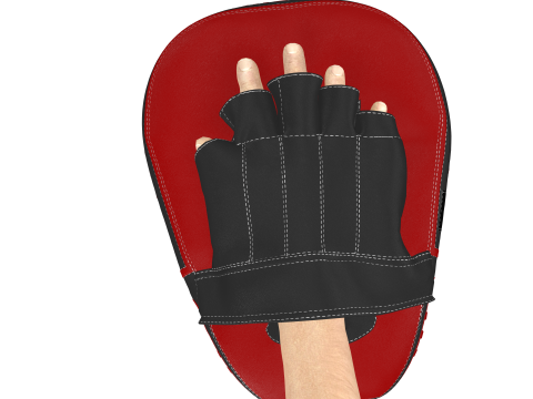 Boxing Training Pad - Focus Mitt Premium ZPRJ FBX OBJ 3D 模型