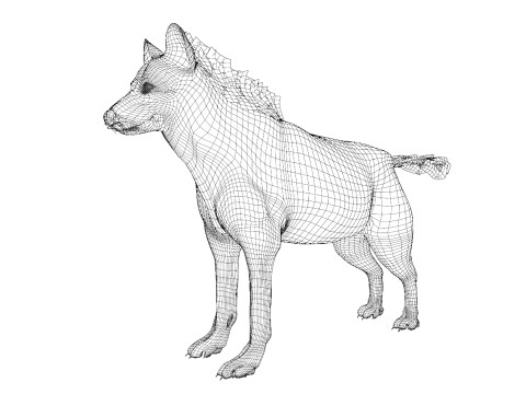 Rigged Hyena with a single animation 3D Modell
