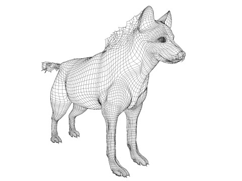 Rigged Hyena with a single animation 3D Modell