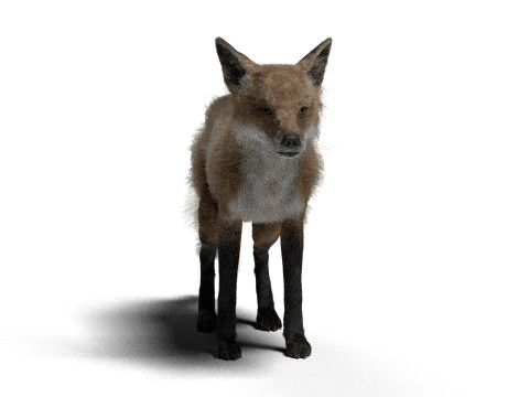 Риггинг рыжей лисы с текстурами и анимацией 8k 3D Модель