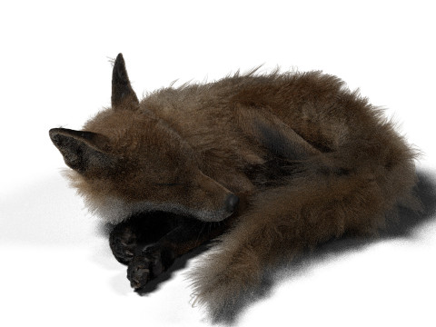 Риггинг рыжей лисы с текстурами и анимацией 8k 3D Модель