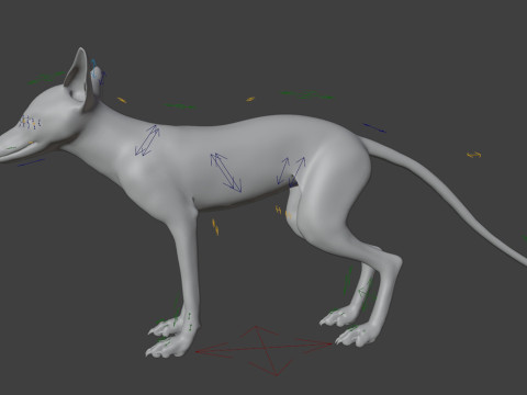 Риггинг рыжей лисы с текстурами и анимацией 8k 3D Модель