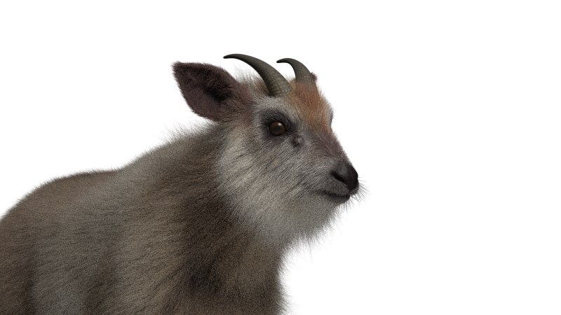 Mouton hybride truqué avec 1k textures et animations Modèle 3D .c4d .max .obj .3ds .fbx .stl .blend